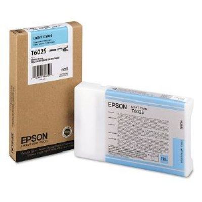 Light Cyan Epson T6025 Ink Cartridge (C13T602500) Printer Cartridge