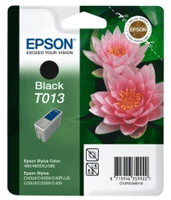 Epson T013401