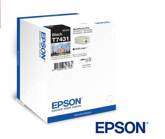 Black Epson T7431 Ink Cartridge (C13T74314010) Printer Cartridge