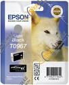 Epson T0967 UltraChrome K3 Light Black Ink Cartridge ( Husky )