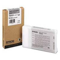 Light Light Black Epson T6029 Ink Cartridge (C13T602900) Printer Cartridge