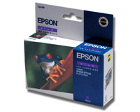 Related to EPSON R800: T054940